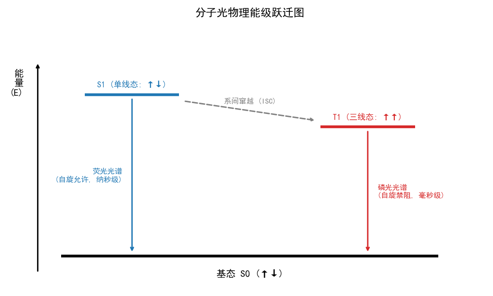 单线态和三线态的雅布隆斯基图.png